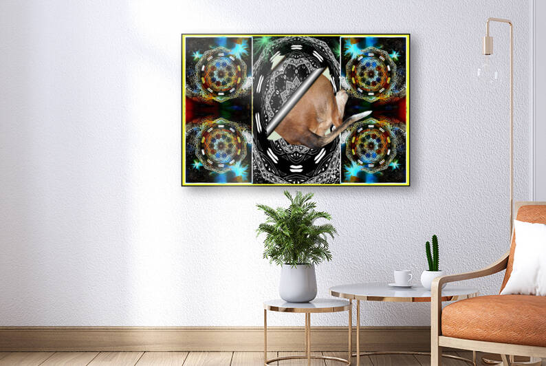 Funky Explorer  by constance lowery