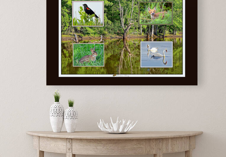 Bombay Hook National Wildlife Refuge by constance lowery
