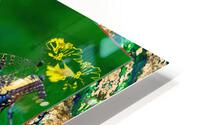 Lady And The Toad HD Metal print