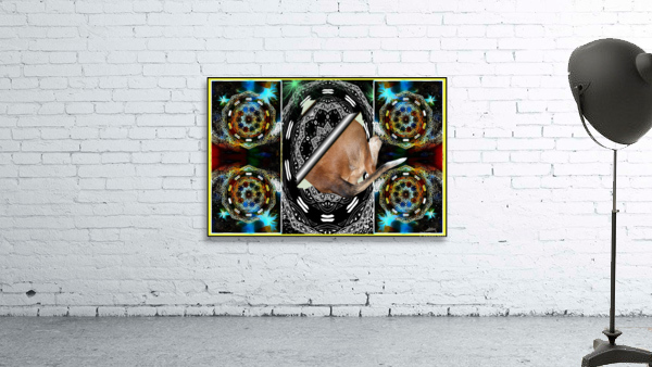 Funky Explorer  Wall Preview