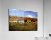Beyond Boundaries Acrylic Print