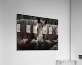 A Quiet Understanding Acrylic Print