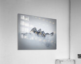 The Sentinel Acrylic Print