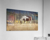 Simple Moments Acrylic Print