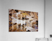 Golden Passage Acrylic Print
