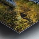 Rivers Lullaby Metal print