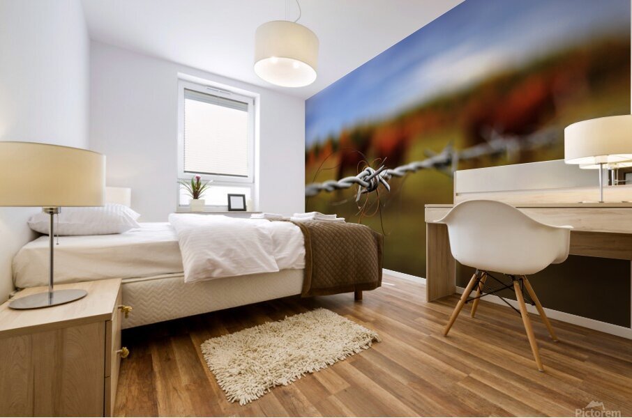 Beyond Boundaries Mural print