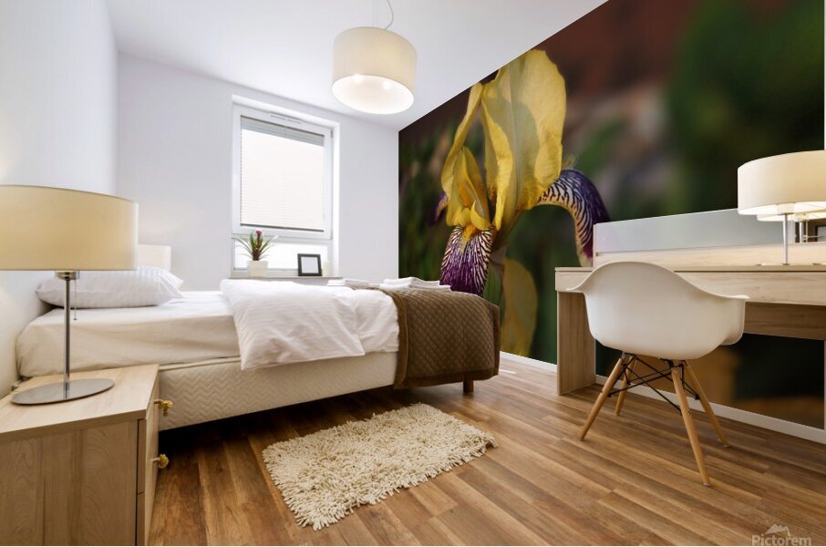 Antique Iris Mural print