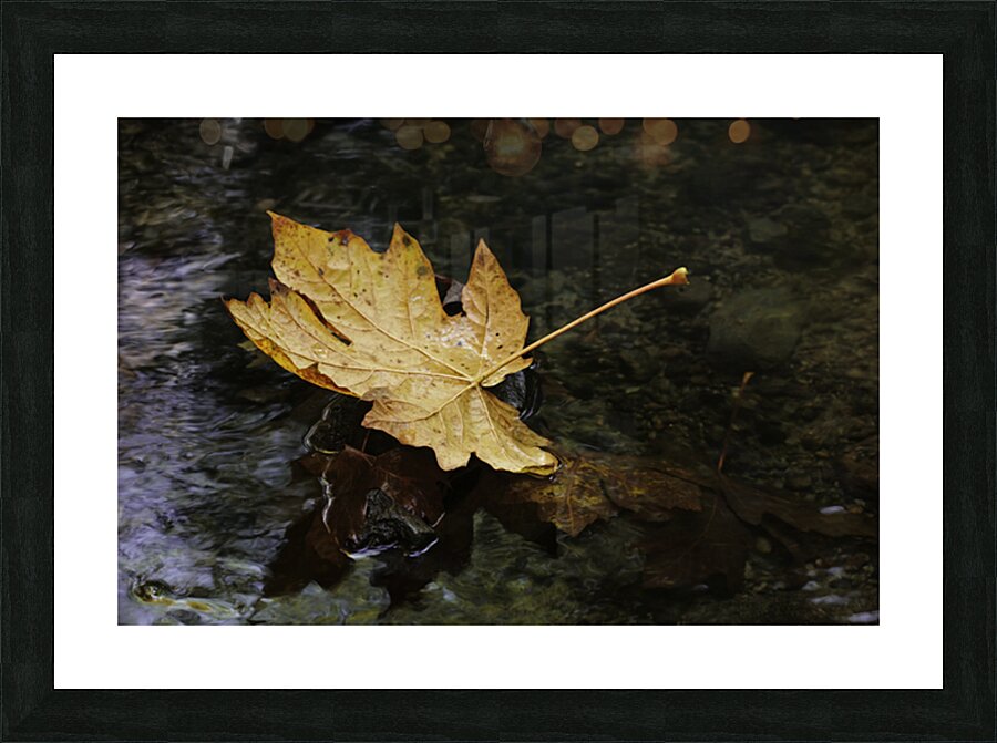 Letting Go Picture Frame print