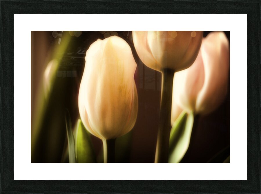 Springs Here Picture Frame print