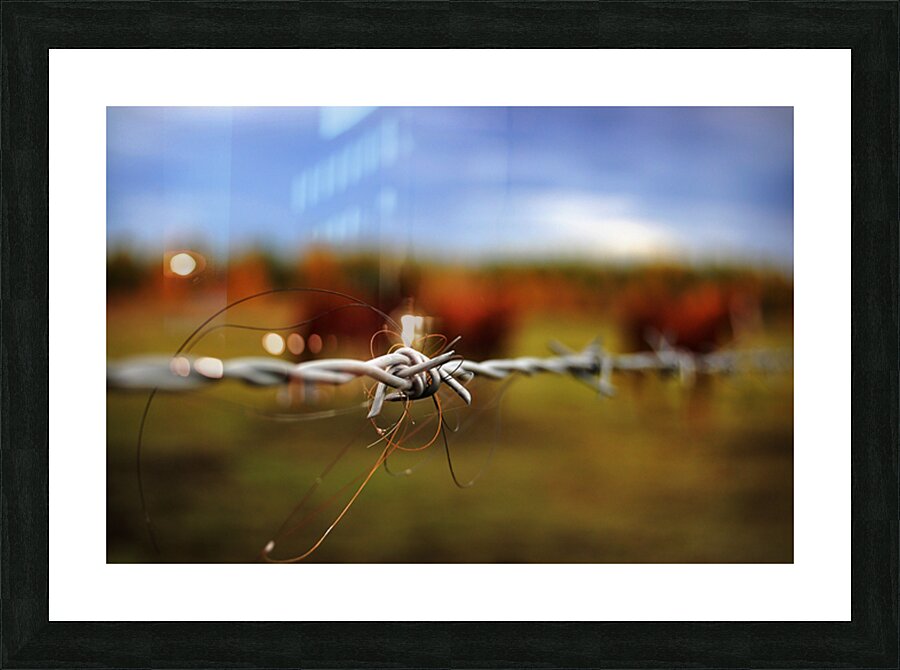 Beyond Boundaries Picture Frame print