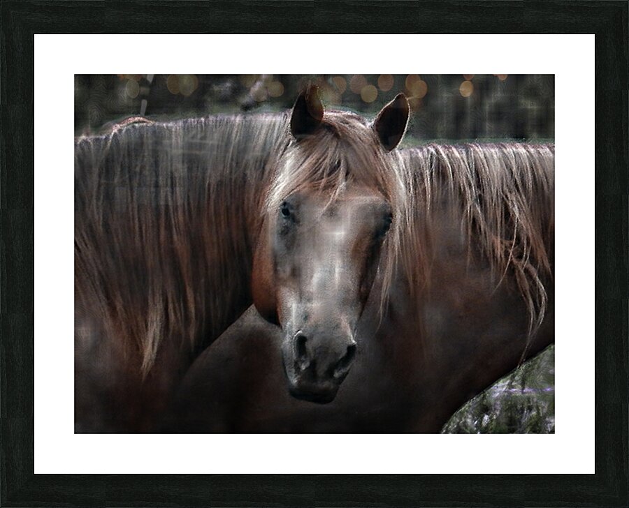 A Quiet Understanding Picture Frame print