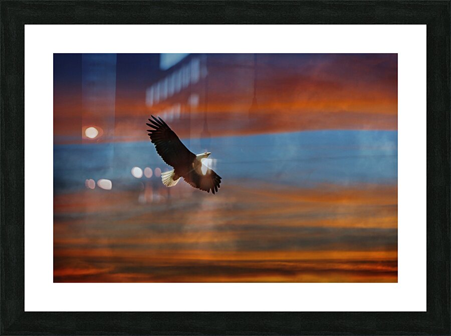 Drifting on the Wind Picture Frame print