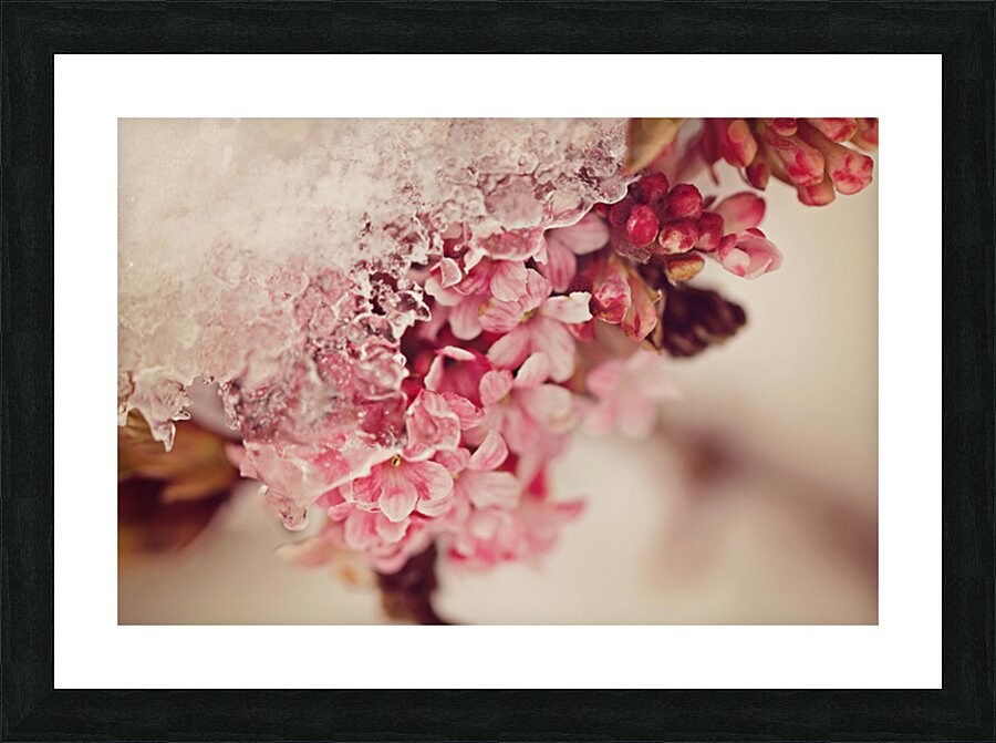 Seasons Passing Picture Frame print
