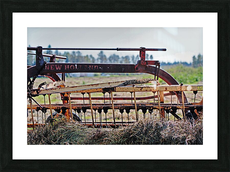 Rust & Memories Picture Frame print