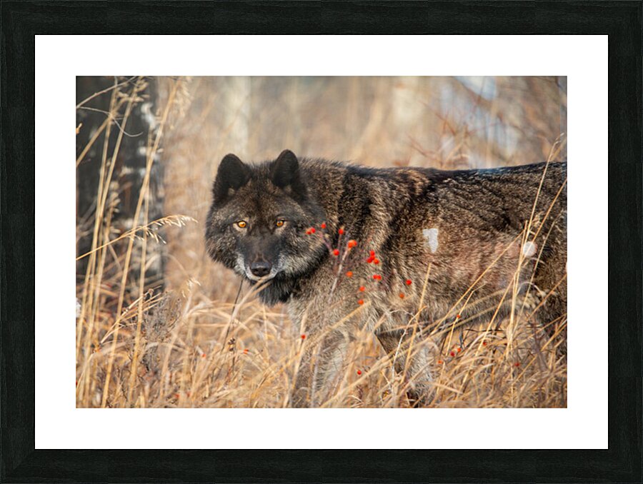 Timeless Presence Picture Frame print