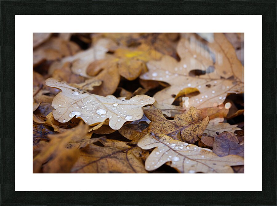 Golden Passage Picture Frame print