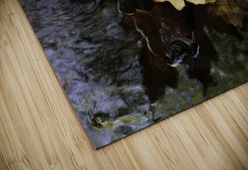Letting Go Lisa Parkin Imagery puzzle