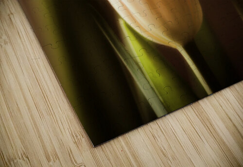 Springs Here Lisa Parkin Imagery puzzle