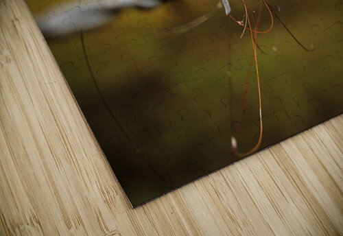 Beyond Boundaries Lisa Parkin Imagery puzzle