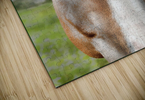 Connection Lisa Parkin Imagery puzzle