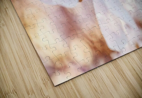 Blushing Magnolia Lisa Parkin Imagery puzzle