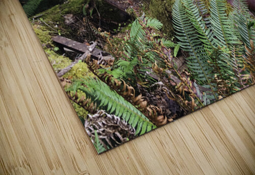 Forgotten Miles Lisa Parkin Imagery puzzle