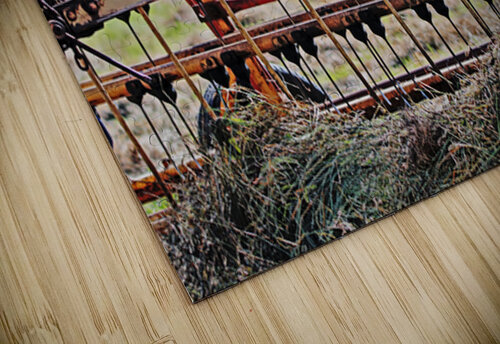 Rust & Memories Lisa Parkin Imagery puzzle
