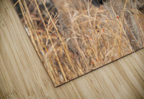 Timeless Presence Lisa Parkin Imagery puzzle