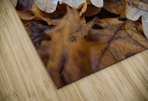 Golden Passage Lisa Parkin Imagery puzzle