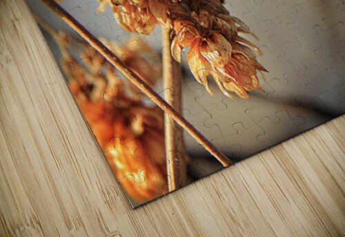 Frosted foliage Lisa Parkin Imagery puzzle