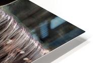 A Quiet Understanding HD Metal print