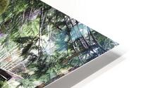 Forgotten Miles HD Metal print