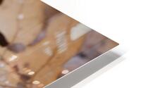 Golden Passage HD Metal print