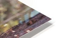 Friends HD Metal print