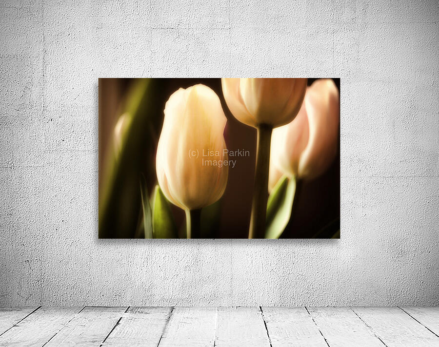 Springs Here Wall Preview