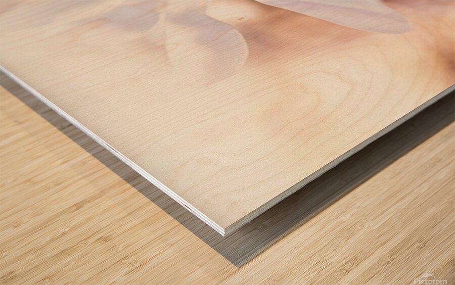 Blushing Magnolia Wood print