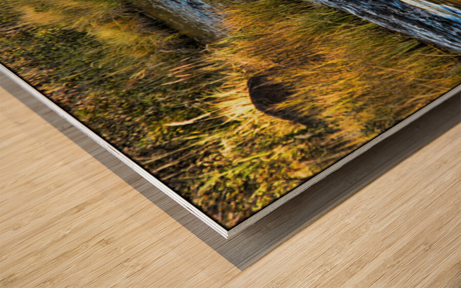 Rivers Lullaby Wood print