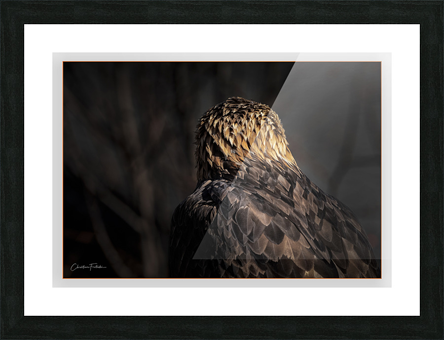 Jimmy Picture Frame print