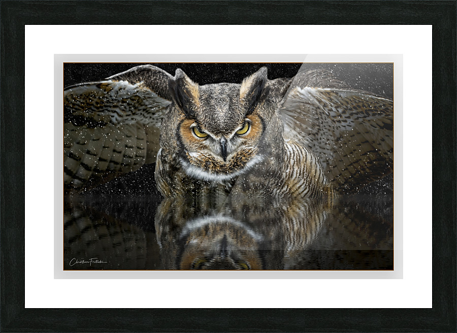  Fine Art print