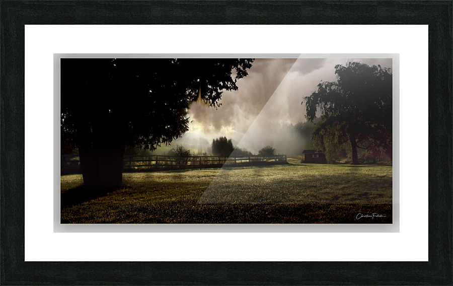  Fine Art print
