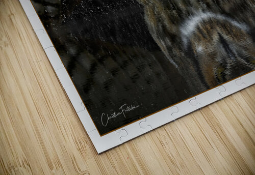 Rudy Fritschi Photography puzzle