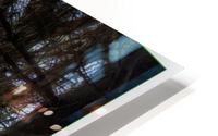 Pinede HD Metal print