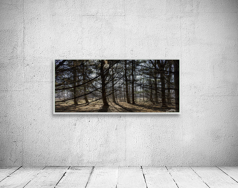 Pinede Wall Preview