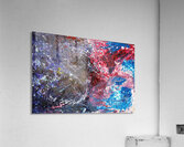 Freedom  Acrylic Print