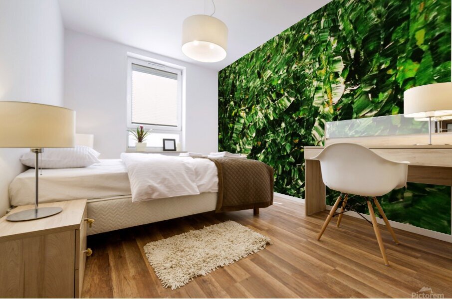 Rainforest  Mural print
