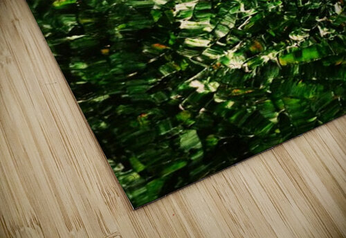 Rainforest  Antoine Khanji puzzle