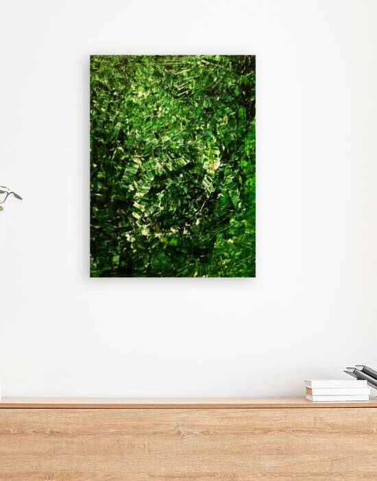Rainforest  Reproduction