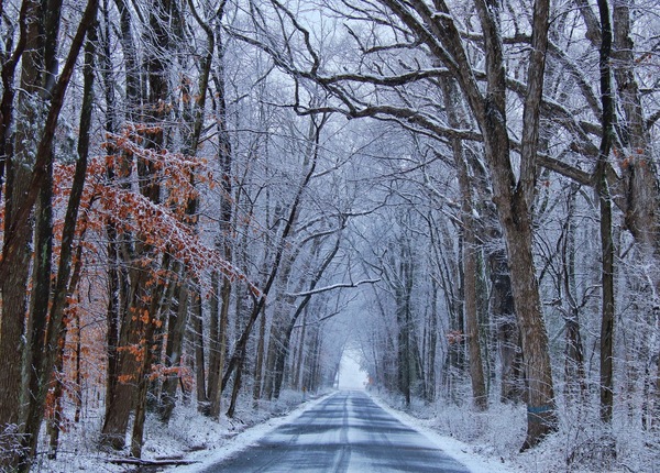 Winter Roads Digital Download