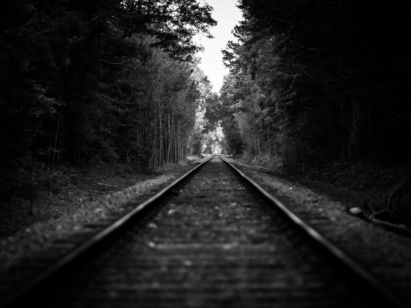 The Wrong Track Digital Download